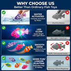 Aqua Glow Fish Toy