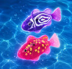 Aqua Glow Fish Toy